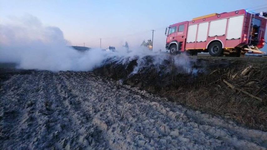 Kolejny pożar traw w ostatnich dniach w powiecie wągrowieckim. Tym razem interweniowano pod Gołańczą! 