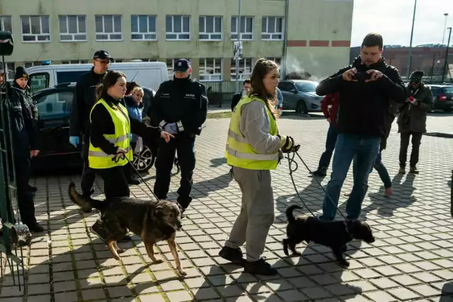 Zdjęcia z marcowej interwencji w siedzibie Toruńskiej Kociej Straży przy ul. Gagarina