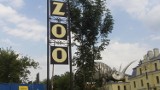 Do zamojskiego zoo przyjadą żyrafy