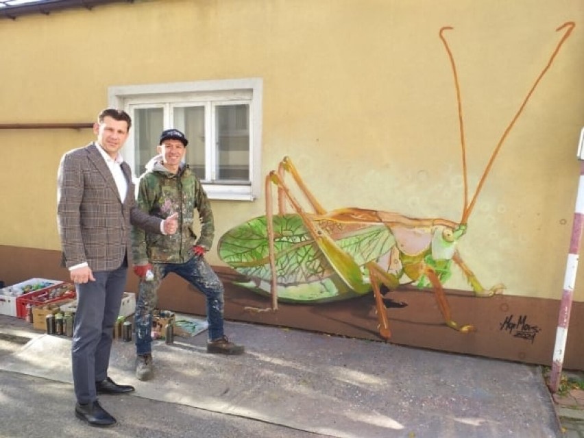  Mgr Mors znów maluje. Czy Filip ze Świeykowskiego będzie miał skrzypce?