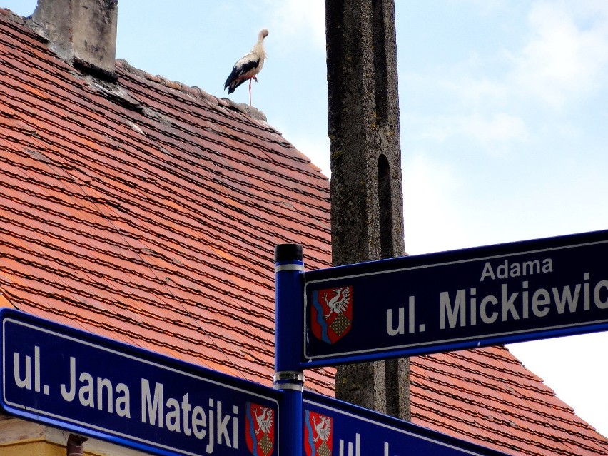 Skrzyżowanie ulic Matejki i Mickiewicza w Sławnie