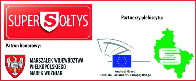 Supersołtys Międzychód 2014