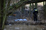 Pilne! Wypadek w Toruniu. Mężczyzna wpadł do Strugi Toruńskiej