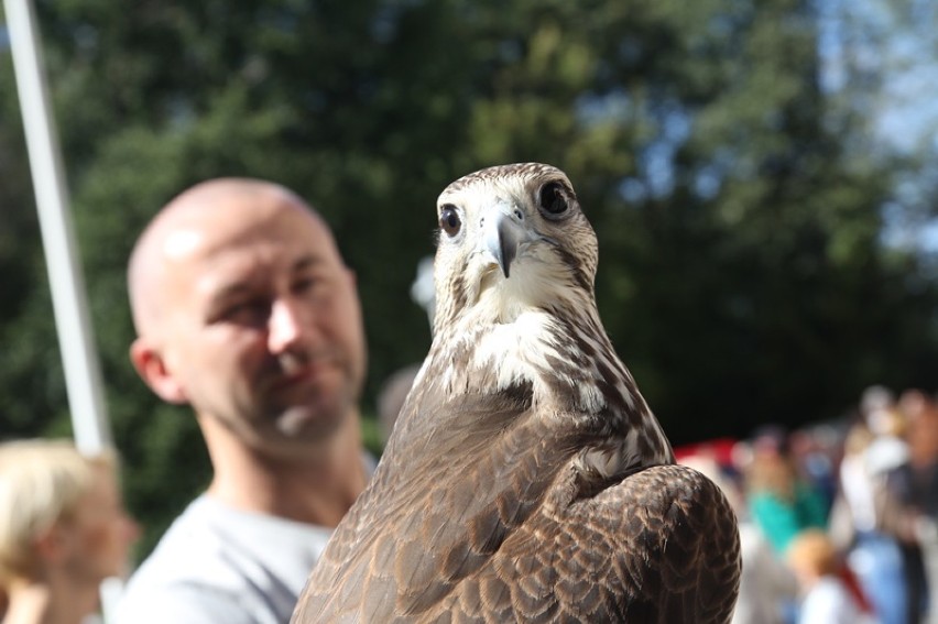 Rodzinny Piknik Ekologiczny w Tarnobrzegu