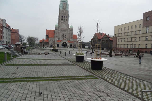 Jak Wam się podobają kwietniki w Rudzie Śląskiej? Na rynku zamiast tradycyjnych bratków pojawiły się donice z drzewkami