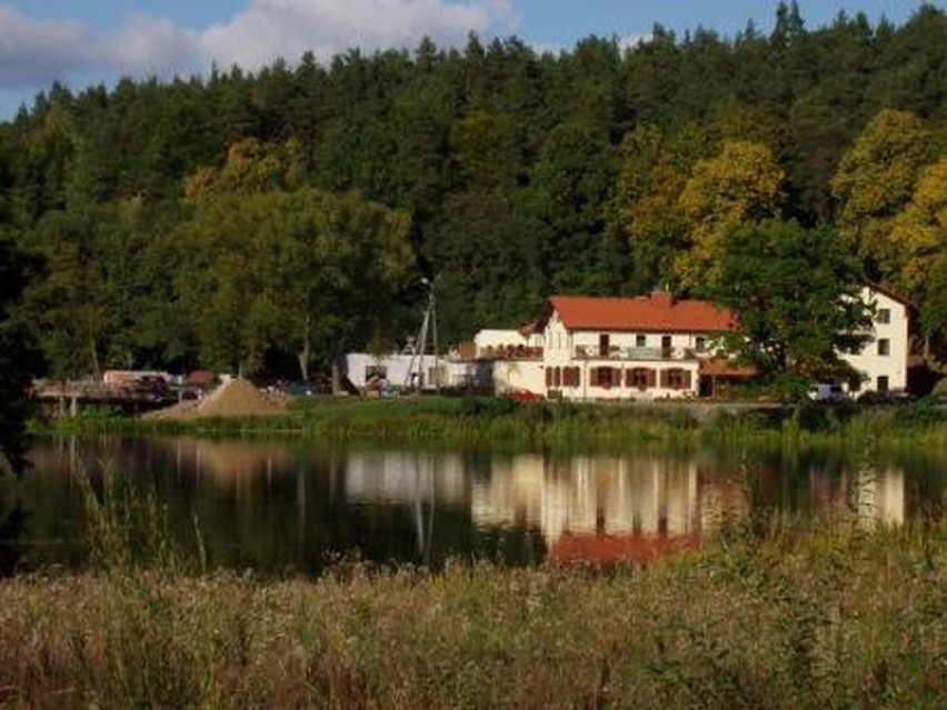 Atrakcje turystyczne regionu kujawsko-pomorskiego: Bory...