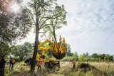 Przesadzanie drzew to pierwszy etap budowy nowego stadionu „za parowozownią” w Ostrowie Wielkopolskim