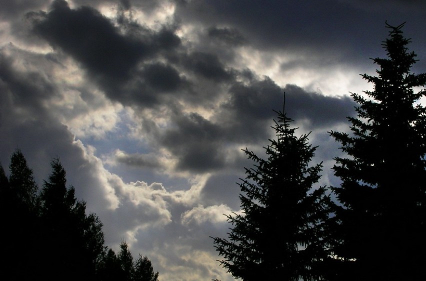 Obserwacje nieba odbędą się w Parku Poniatowskiego w sobotę, 24 października