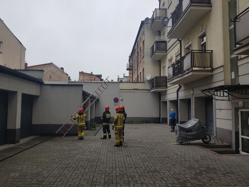 Straż pożarna w Kaliszu ratowała... kocią rodzinę. ZDJĘCIA