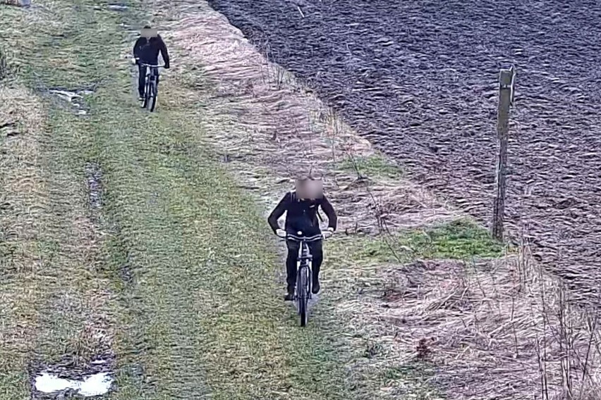 Dwaj Ukraińcy na rowerach nielegalnie przekroczyli zieloną,...