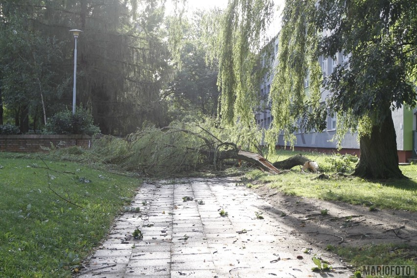 Burza nad Opolszczyzną. Strażacy do godziny 7.00...