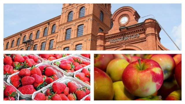 Manufaktura (góra zdjęcia) jest przykładem udanej rewitalizacji obiektów pofabrycznych w Łódzkiem. Łódzkie słynie z upraw m.in. truskawek. Co roku w Buczku odbywa się Krajowe Święto Truskawki.
Znane w całej Polsce są też sady jabłkowe, m.in. z okolic Dmosina