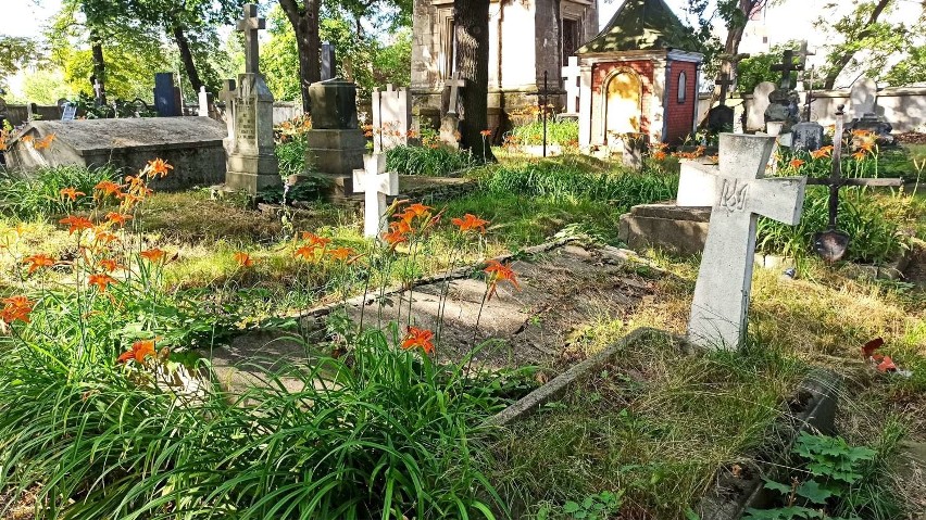 Cmentarz prawosławny w Kaliszu popada w ruinę. Tak dzisiaj...