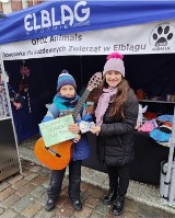Świąteczna solidarność Elblążan: Ponad 13 tys. zł na rzecz schroniska dla zwierząt