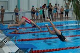 Zawody pływackie w Wodzisławiu. Uczestniczyło prawie 80 osób