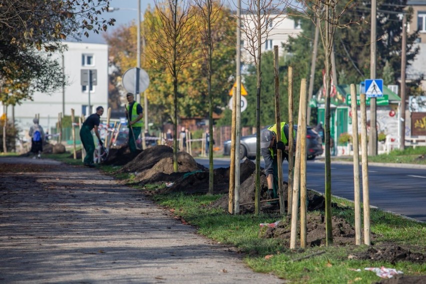 Bartosza Głowackiego