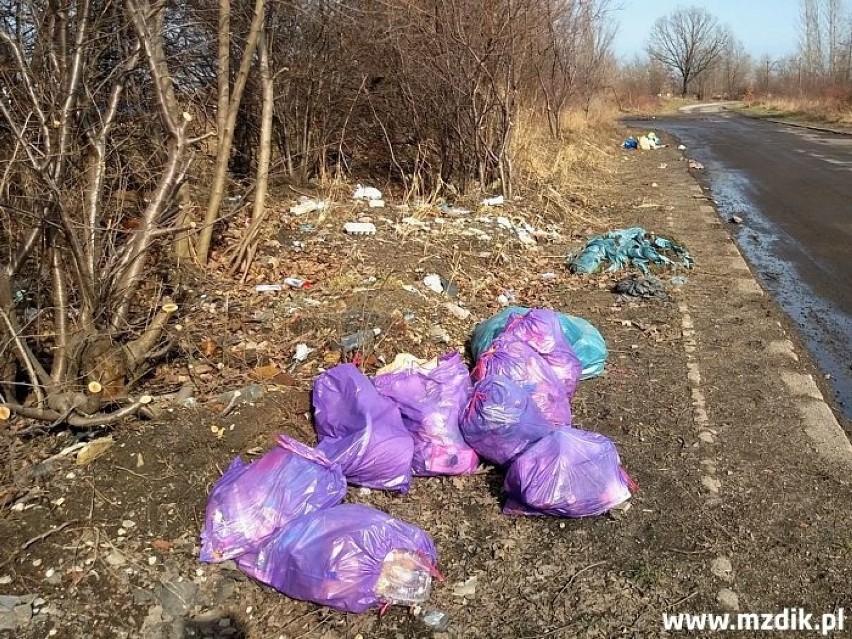 Plaga podrzucania śmieci w Radomiu. Kolejne odpady znalezione na ulicy Chorzowskiej