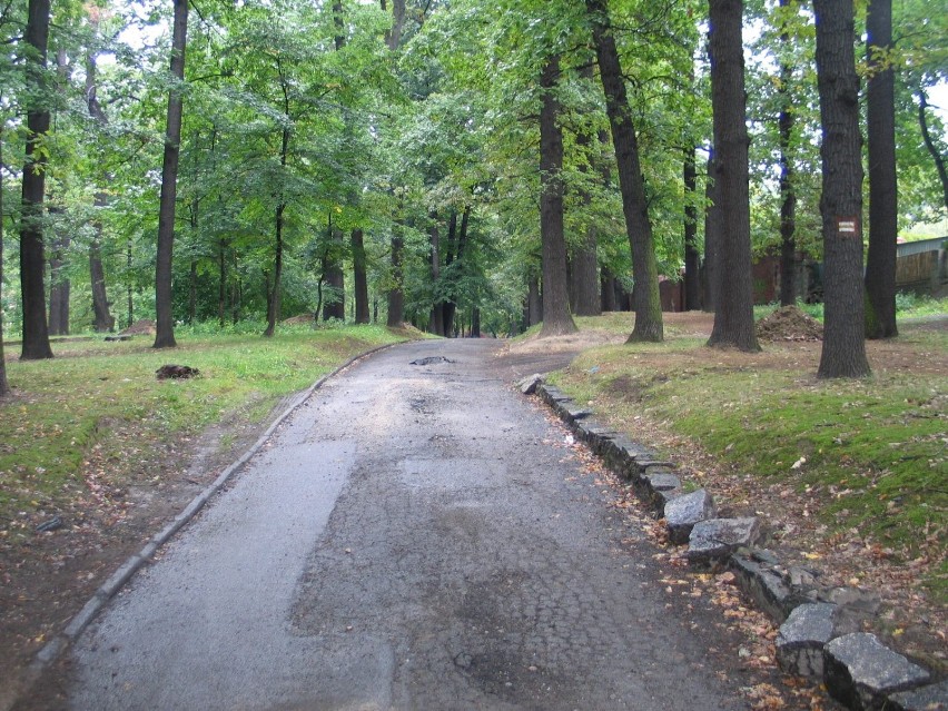 Park Kasprowicza w remoncie (FOTO)