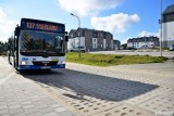 Gdynia uruchamia nową linię autobusową. To najkrótsze połączenie w historii gdyńskiej komunikacji miejskiej. Ma zaledwie 964 m