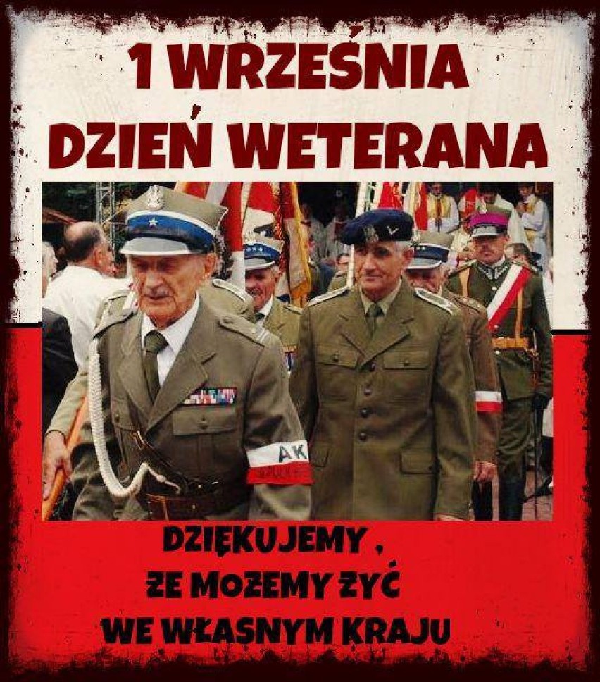 Młodzież ZST z Mielca w obchodach Dnia Weterana