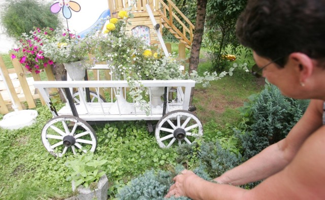 Tak wyglądał wózek z "Prawa i pięści" w 2009 roku. Jeszcze przez kilka lat stał w ogródku domu przy ul. Czarlińskiego jako kwietnik