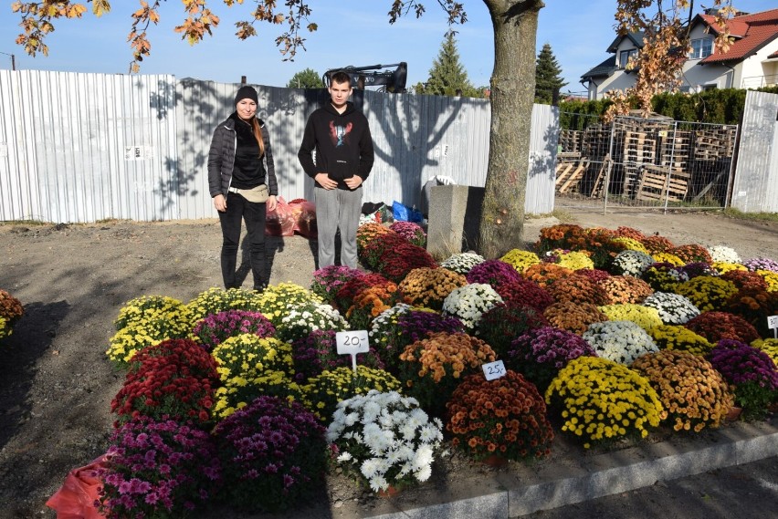 Wszystkich Świętych 2021. Ceny kwiatów na cmentarzach w Pruszczu Gdańskim