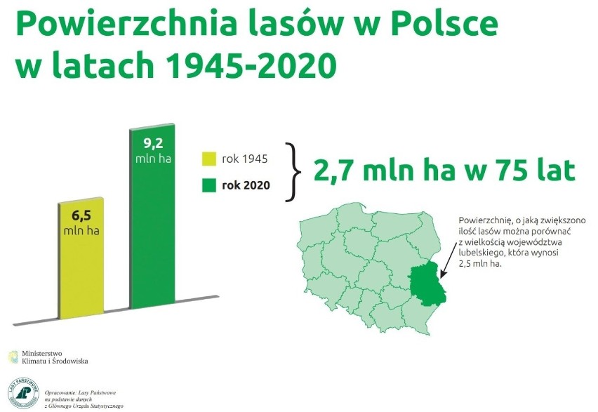 Lasy Państwowe posadzą nowe lasy. Ruszyła akcja skupu...