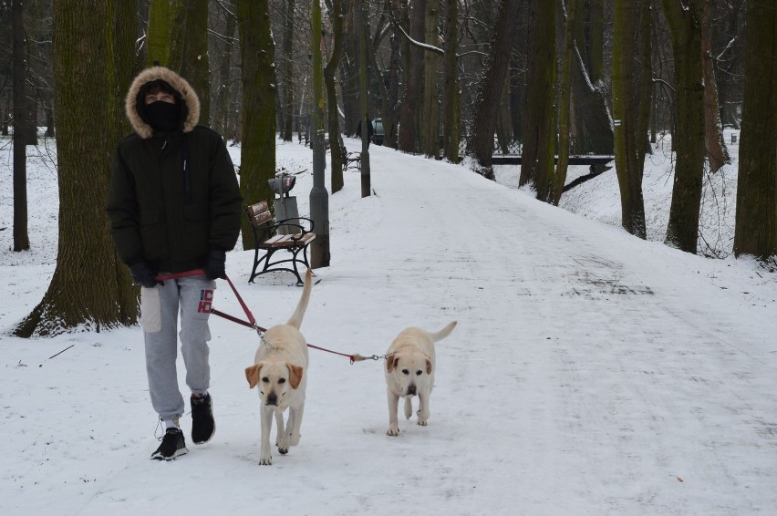 Nysa. Pierwszy śnieg tej zimy, który od razu nie stopniał! Dzieci mają mnóstwo frajdy. Zobacz zdjęcia!