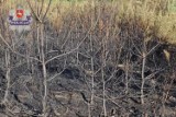 Podpalenia w Opolu Lubelskim. Prokuratura zastosowała dozór dla sprawcy