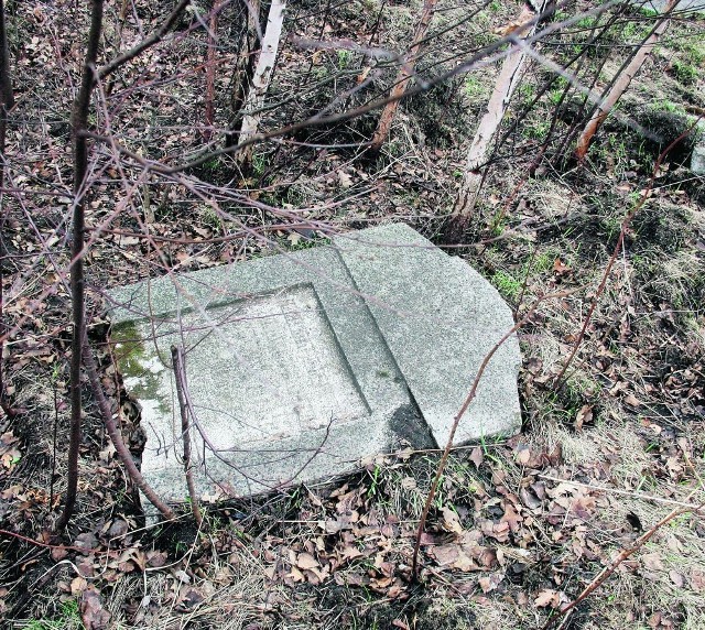 Stary kirkut w Sosnowcu

Tonie w śmieciach.

Kirkut w Milowicach miał powstać na kilka lat przed wybuchem II wojny światowej z powodu przepełnienia cmentarza przy Gospodarczej. Po wojnie nie wykonywano tu już żadnych prac. Podobno macewy wykorzystywane były podczas prac budowlanych na pobliskich działkach.