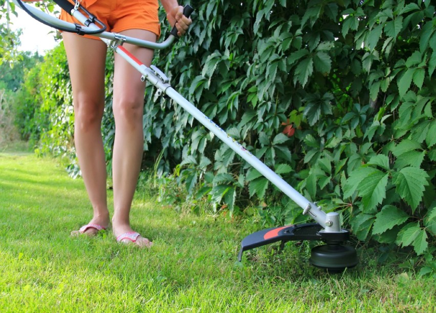 Sezon na koszenie rozpoczęty. Jaką podkaszarkę wybrać?