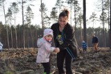 Przedszkolacy z ,,Dębusia Olbrzymka" posadzili las (Zdjęcia)