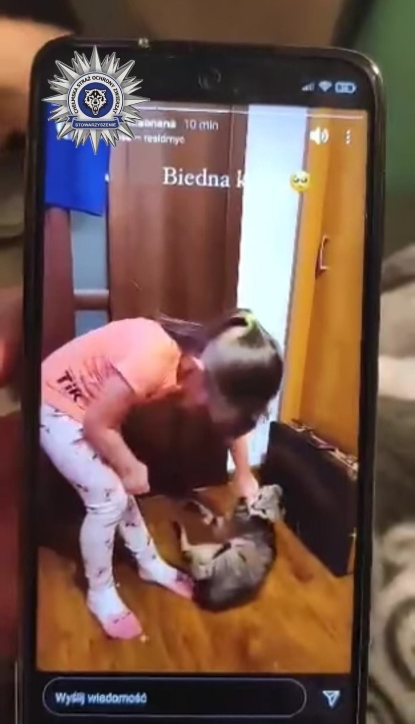 Pięciolatka z gminy Białopole znęcała się nad kotem. Zachęcała ją do tego opiekunka  