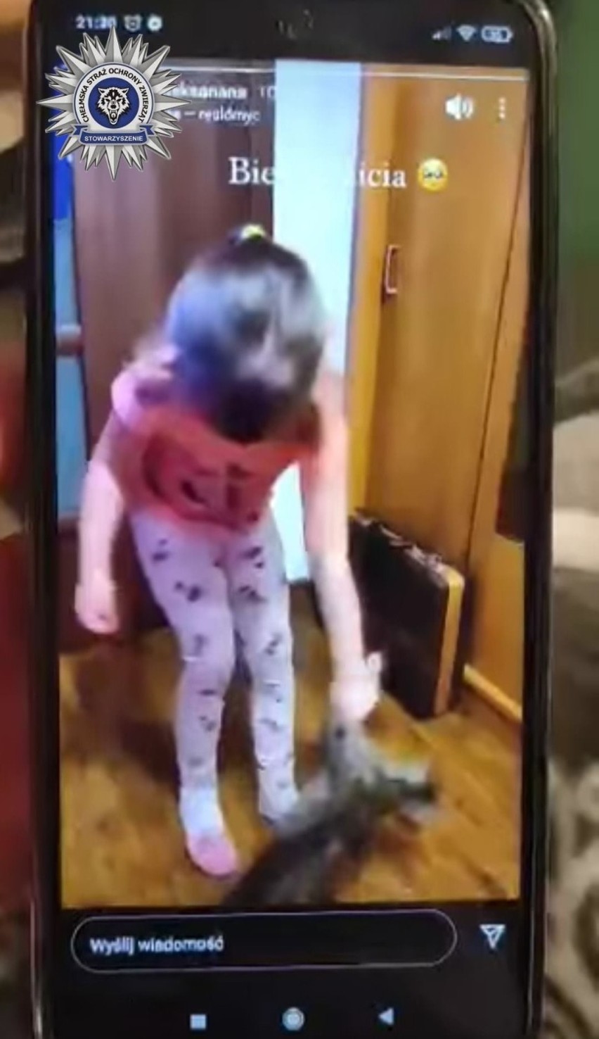 Pięciolatka z gminy Białopole znęcała się nad kotem. Zachęcała ją do tego opiekunka  