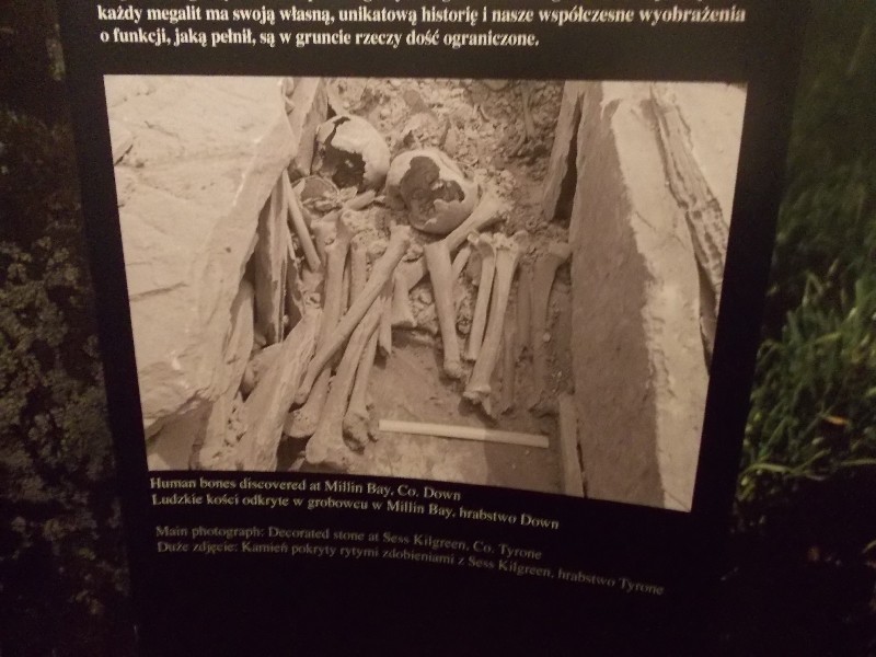 Wystawa kamiennych gigantów w Spichlerzu