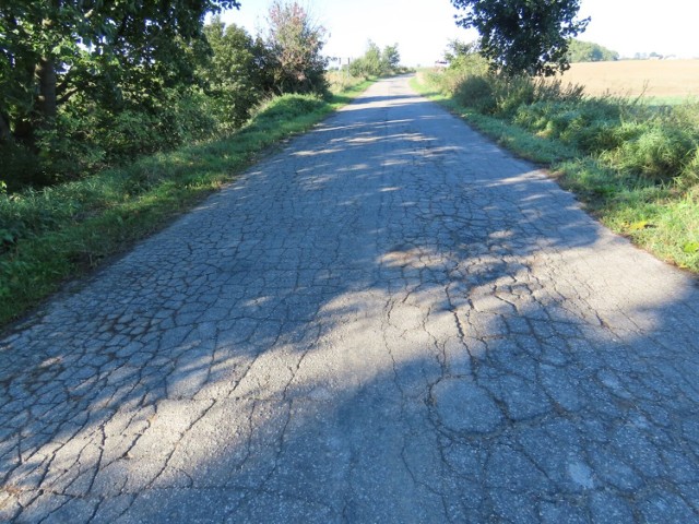 W tym roku planowane są remonty trzech dróg powiatowych w gminach Lisewo i Unisław