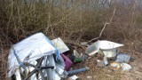 Śmieciowy problem w Koszalinie i powrót akcji Czyste Miasto [ZDJĘCIA]