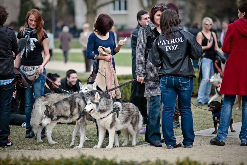 Szczecin: Marsz Niemilczenia w obronie zwierząt (zdjęcia)