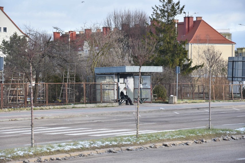 Malbork. Przystanki autobusowe znikną z ul. Wybickiego? Było wiele skarg, że okupują je bezdomni. Wiaty są zbędne, bo nie jeździ "dwójka"