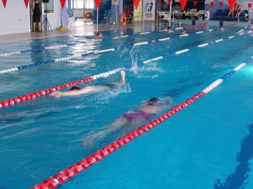 Mikołów: Maraton pływacki 2014 i Otyliada w pływalni Aqua Plant [FOTO]