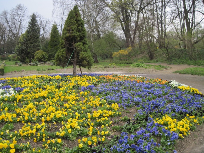 Ogród Botaniczny w Lublin