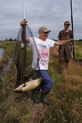 Taaaka ryba na Dniach Wody. Prezes koła wędkarskiego wyłowił amura, który ważył prawie 7 kilogramów