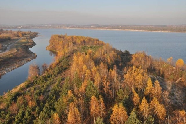 W północno-zachodniej części Dąbrowy Górniczej, w efekcie zalania dużych wyrobisk po eksploatacji piasku, wykształciło się swego rodzaju „pojezierze”. Znajduje się tu zespół sztucznych zbiorników wodnych Pogoria (I, II, III) i Pogoria IV. Dla osób nielubiących tłoku odradzamy jednak Pogorię III, która choć kusi plażą i molem, odstraszać może tłumami spacerowiczów, rowerzystów czy rolkarzy.


Pogorie I, II i III są zasilane wodami potoku Pogoria, natomiast Kuźnicę (Pogorię IV) zasila Czarna Przemsza, a w okresach wysokich stanów wód – również Trzebyczka. Co istotne można tu spotkać aż 7 z 14 gatunków z „Polskiej czerwonej księgi roślin” i „Polskiej czerwonej księgi zwierząt”, występujących na obszarze całej gminy. Są to rośliny: lipiennik Loesela, wyblin jednolistny, tłustosz dwubarwny oraz ptaki: bączek, bąk, podróżniczek, rybitwa białoczelna.

Najciekawsze pod względem przyrodniczym jest zdecydowanie jezioro Pogoria II, które wraz z otaczającym terenem jest użytkiem ekologicznym. Taka forma ochrony przyrody została ustanowiona przez dąbrowską Radę Miejską w 2002 r., aby zachować nadwodny i bagienny ekosystem i cenną ostoję ptaków wodno-błotnych. W naturalny ekosystem człowiekowi nie wolno ingerować i przekształcać go.