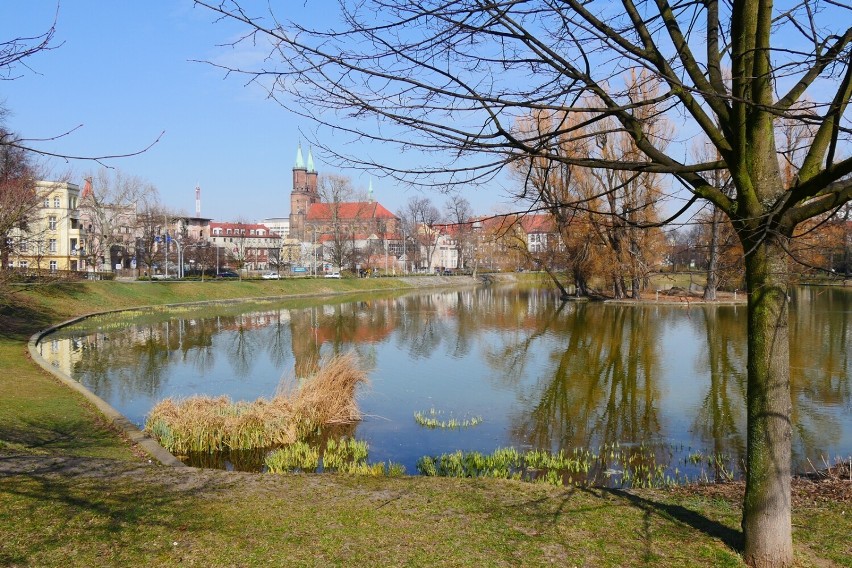 Wiosna w Parku Miejskim w Legnicy