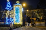 Gdańsk gotowy na święta! Świąteczne iluminacje w Parku Oliwskim. Zdjęcia