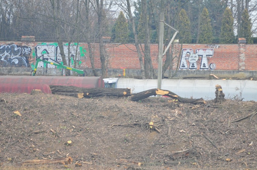 Budowa Trasy Łagiewnickiej nie bez strat. Znikają drzewa [ZDJĘCIA]