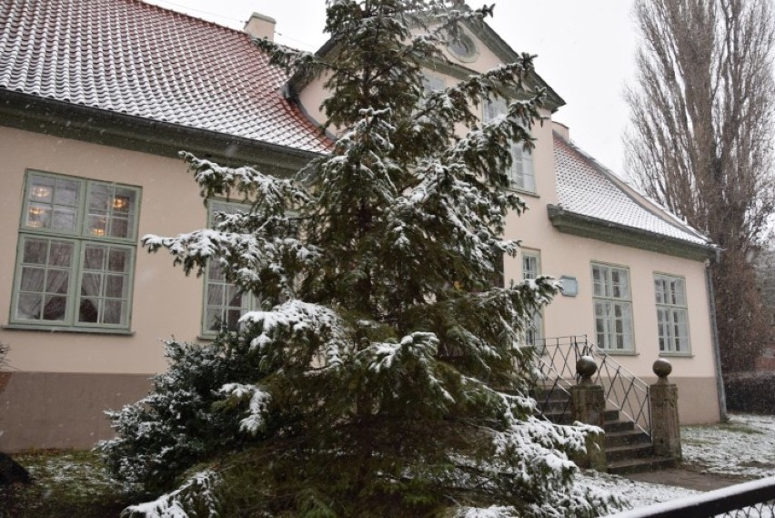Pruszcz Gdański zimą. Przysypane śniegiem ulice i park tworzą zimowy klimat [ZDJĘCIA]
