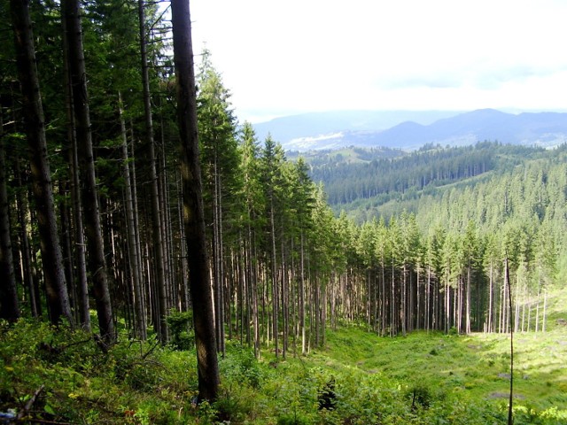 Spojrzenie z góry na góry. fot. Bogdan Miklusz