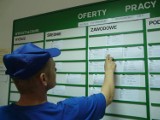 Najnowsze oferty pracy w Kaliszu i powiecie. Sprawdź za jaką stawkę 