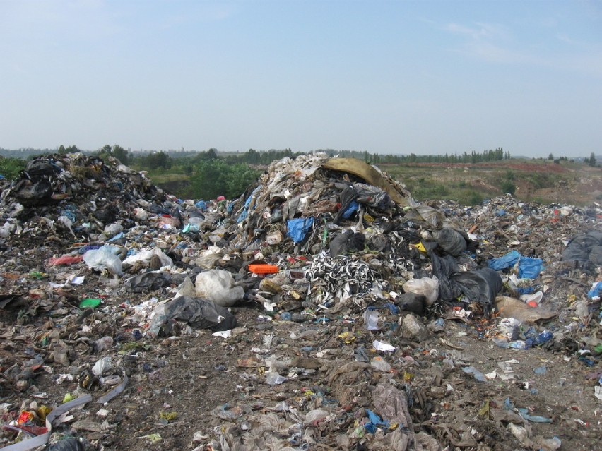 Brzeziny Śląskie: Przyłapani na zwożeniu odpadów. I co dalej?